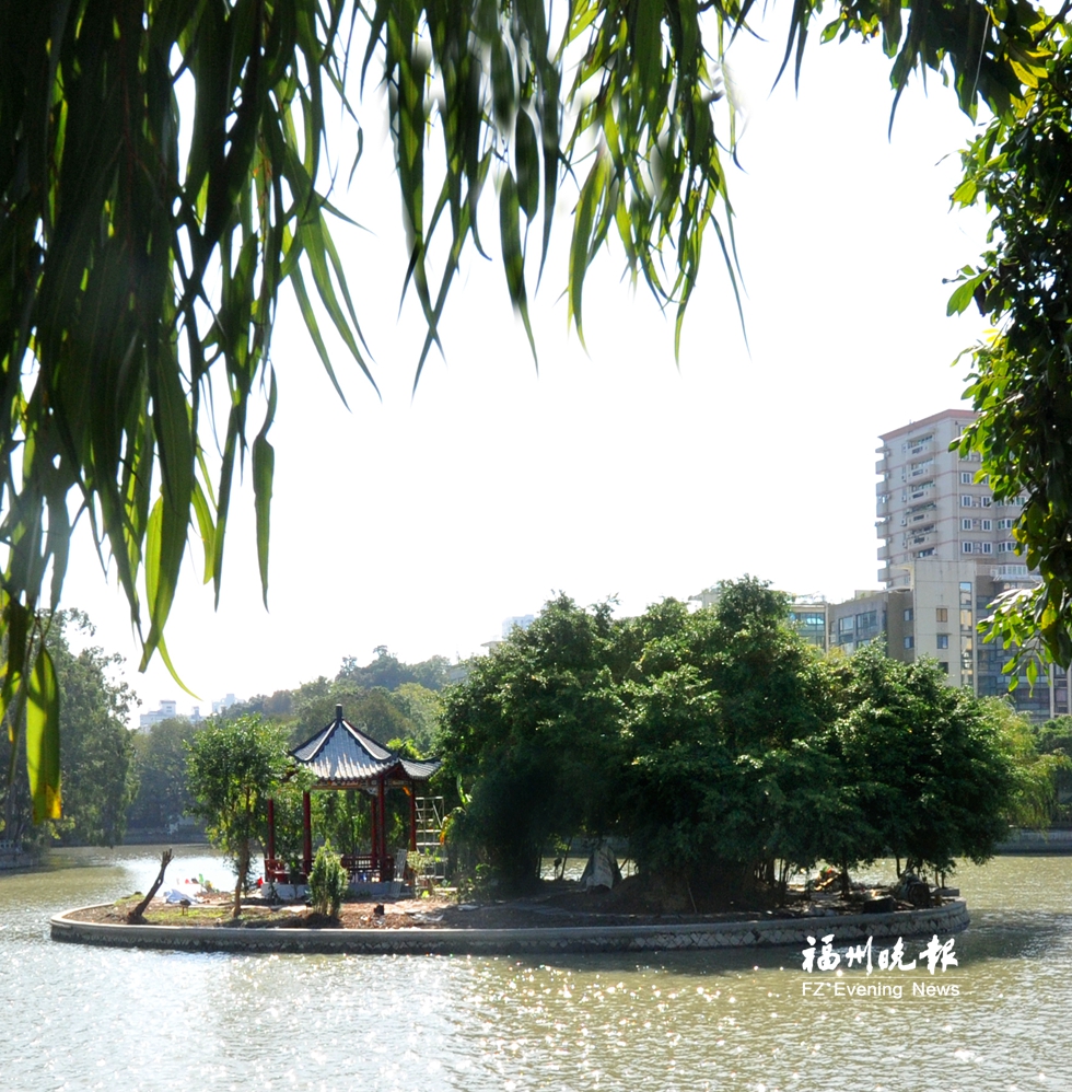 西湖“湖心春雨”元旦重現　湖心島成白鷺棲息地